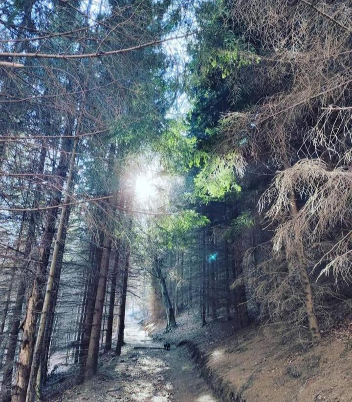 루가노 La Perla Di Bre' 아파트 외부 사진